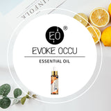 Diffuser Fragrance Essential Oil 10ml with Dropper